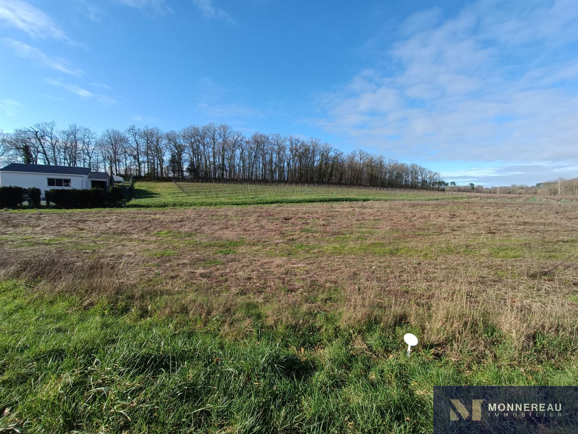 Maison à vendre, 3179m², Saint-Maigrin