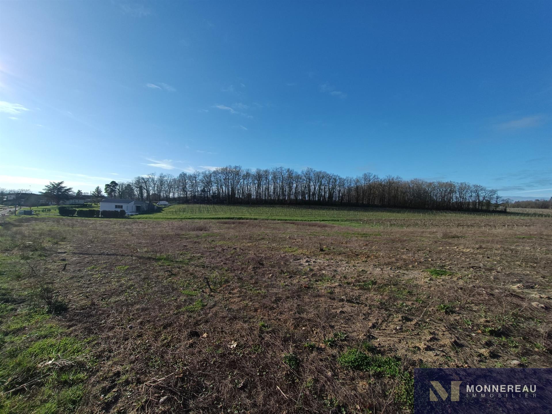 Maison à vendre, 3179m², Saint-Maigrin