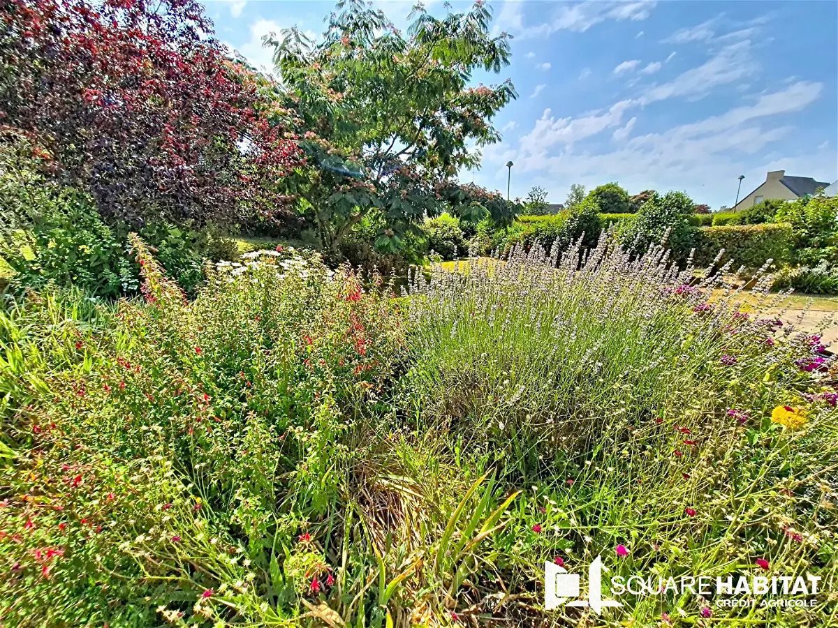 Maison à vendre, 73m², Colpo