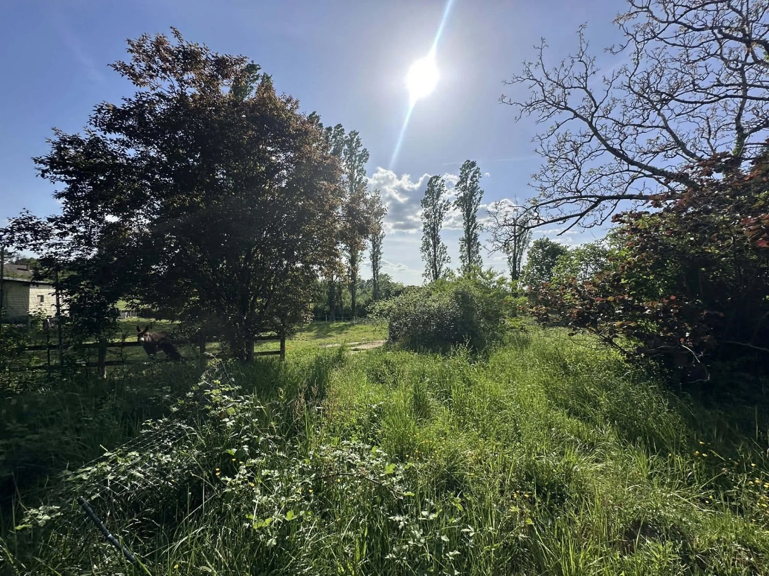 Maison à vendre, 148m², Prigonrieux