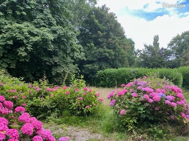 Maison à vendre, 234m², Offranville