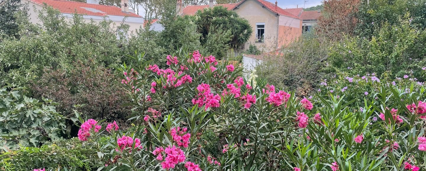 Maison à vendre, 46m², La Seyne-sur-Mer