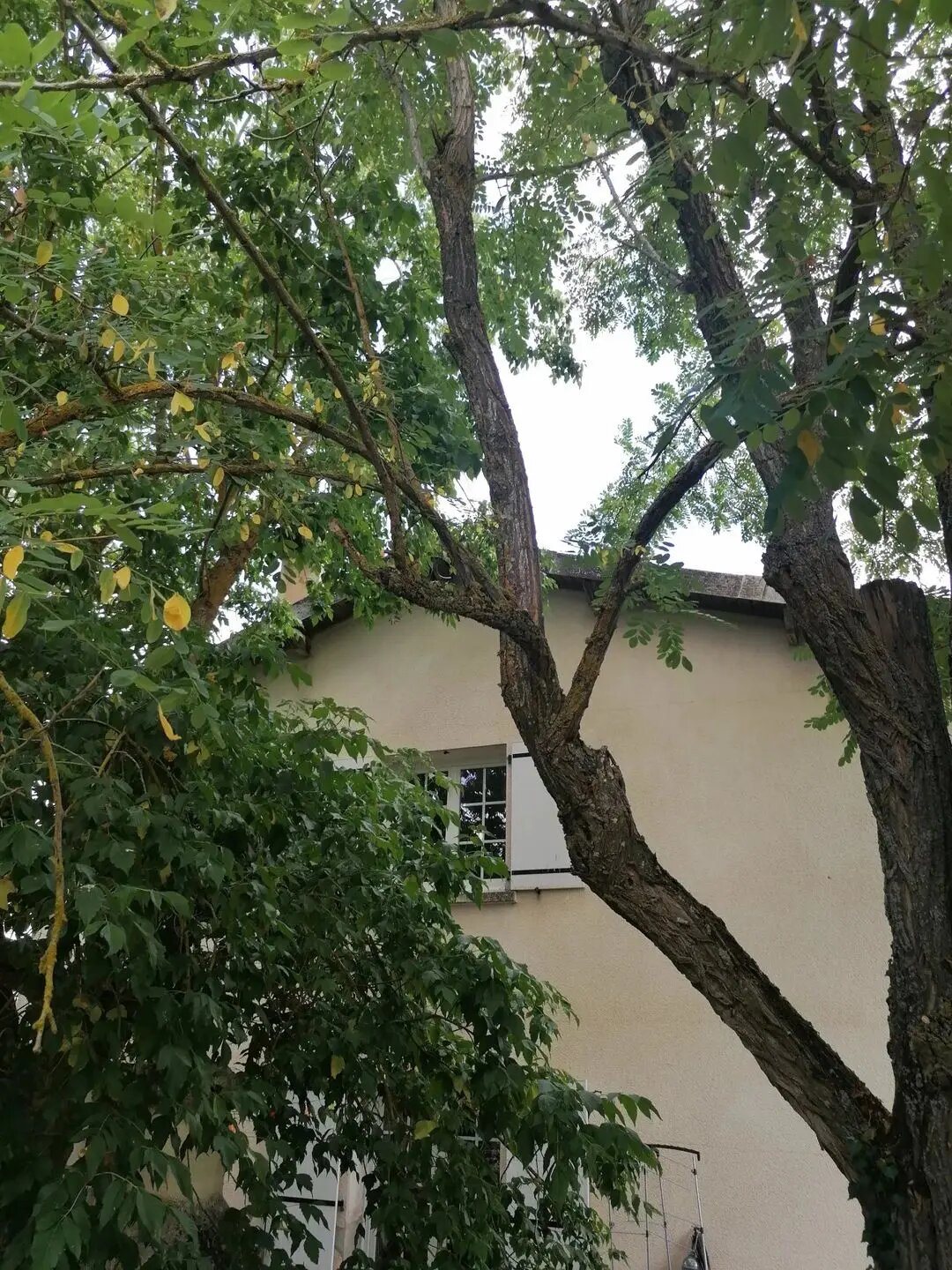 Maison à vendre, 465m², Parisot
