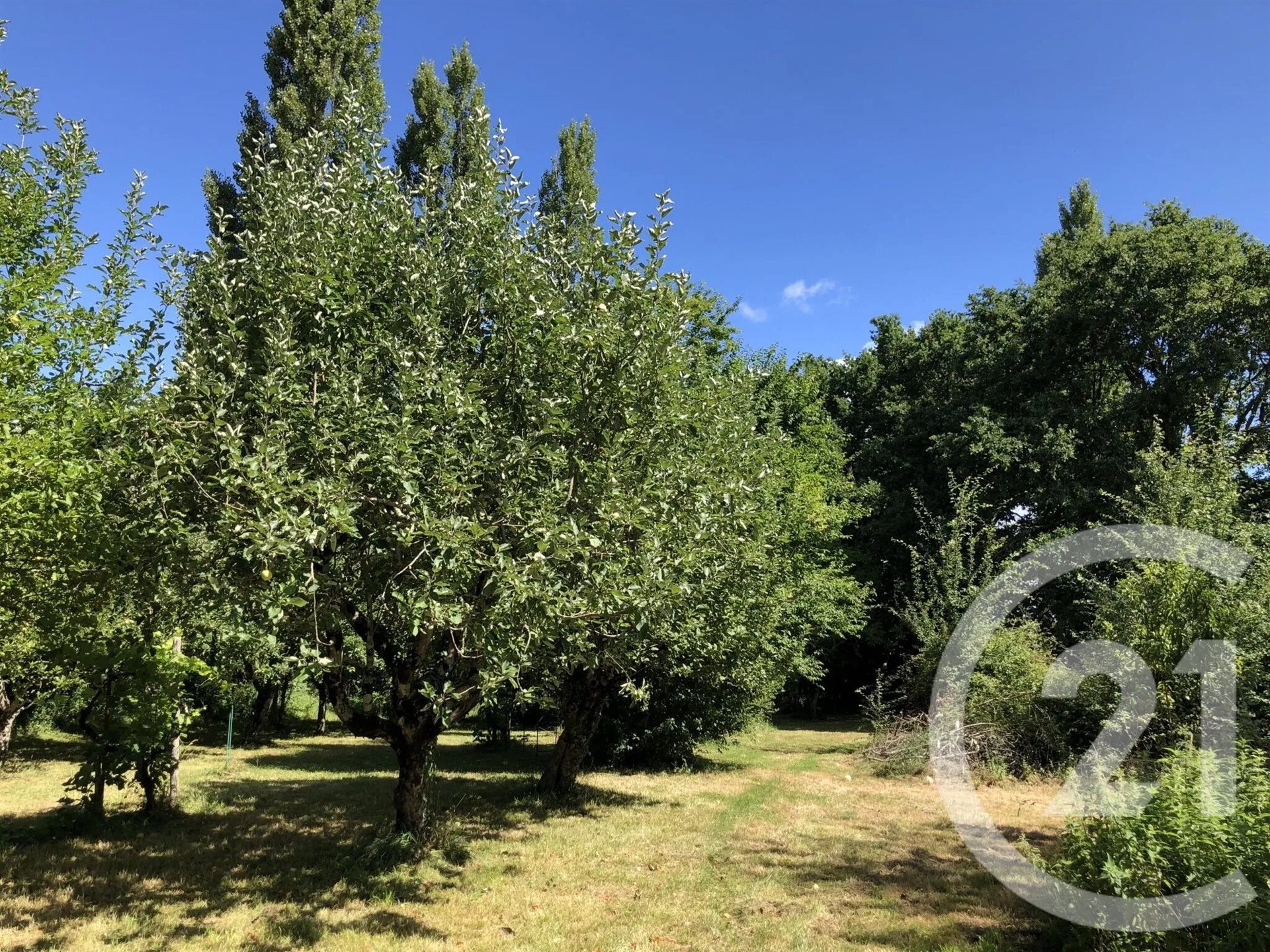 Maison à vendre, 190m², Montpon-Ménestérol