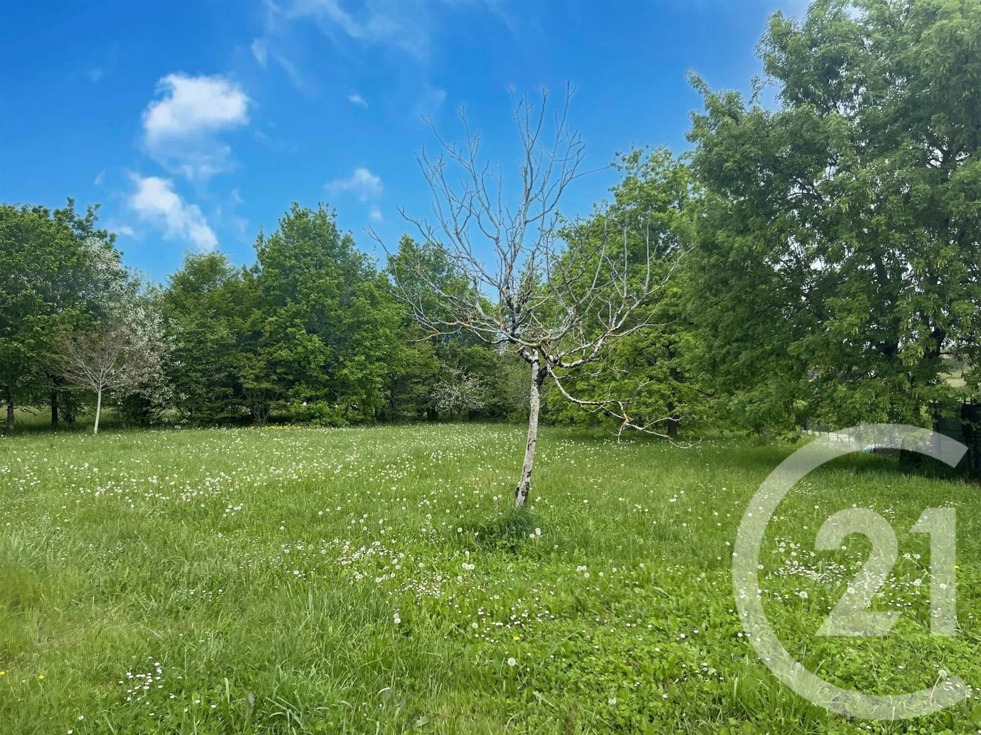 Maison à vendre, 326m², Montpon-Ménestérol