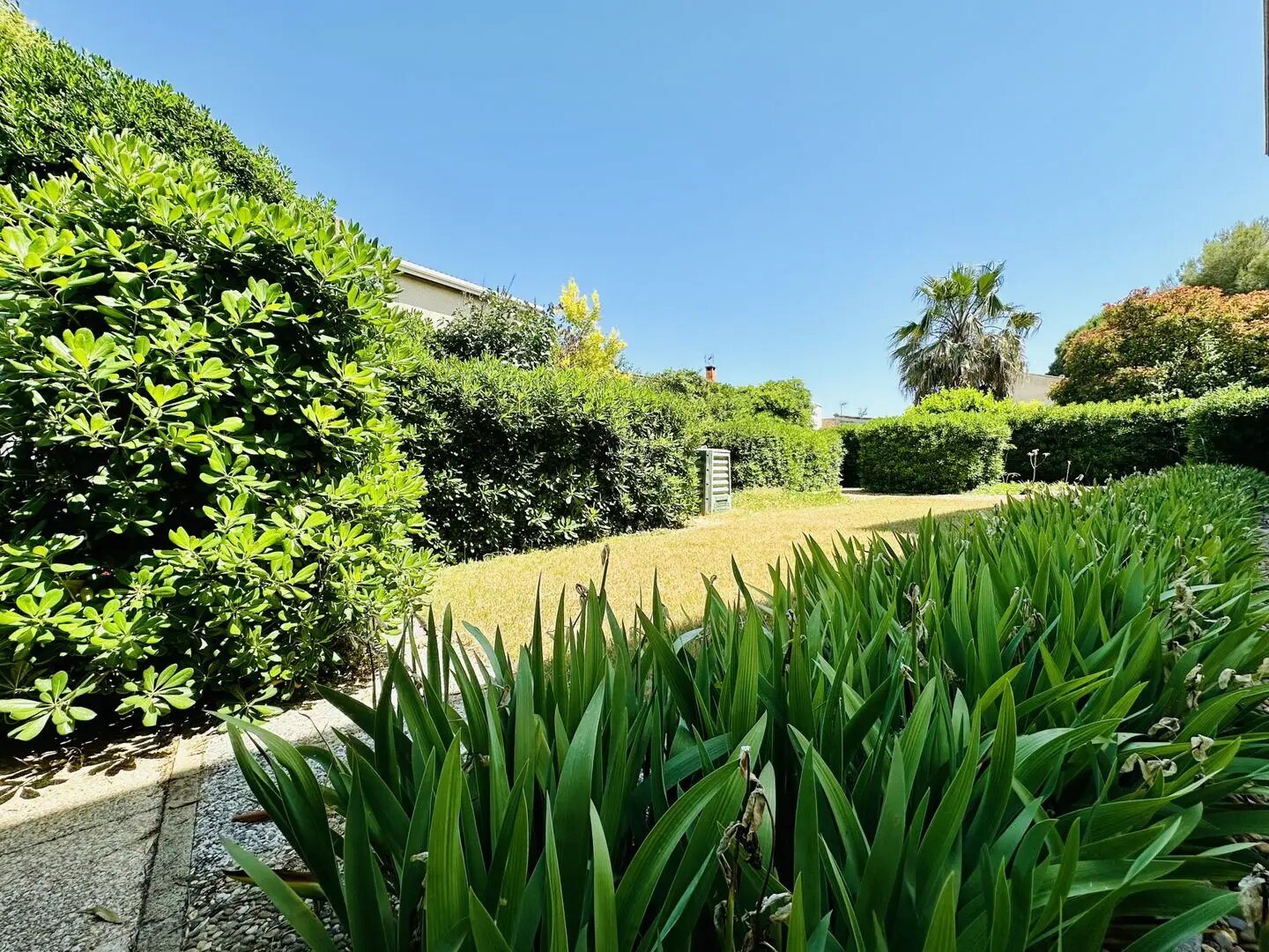 Maison à vendre, 175m², Lattes