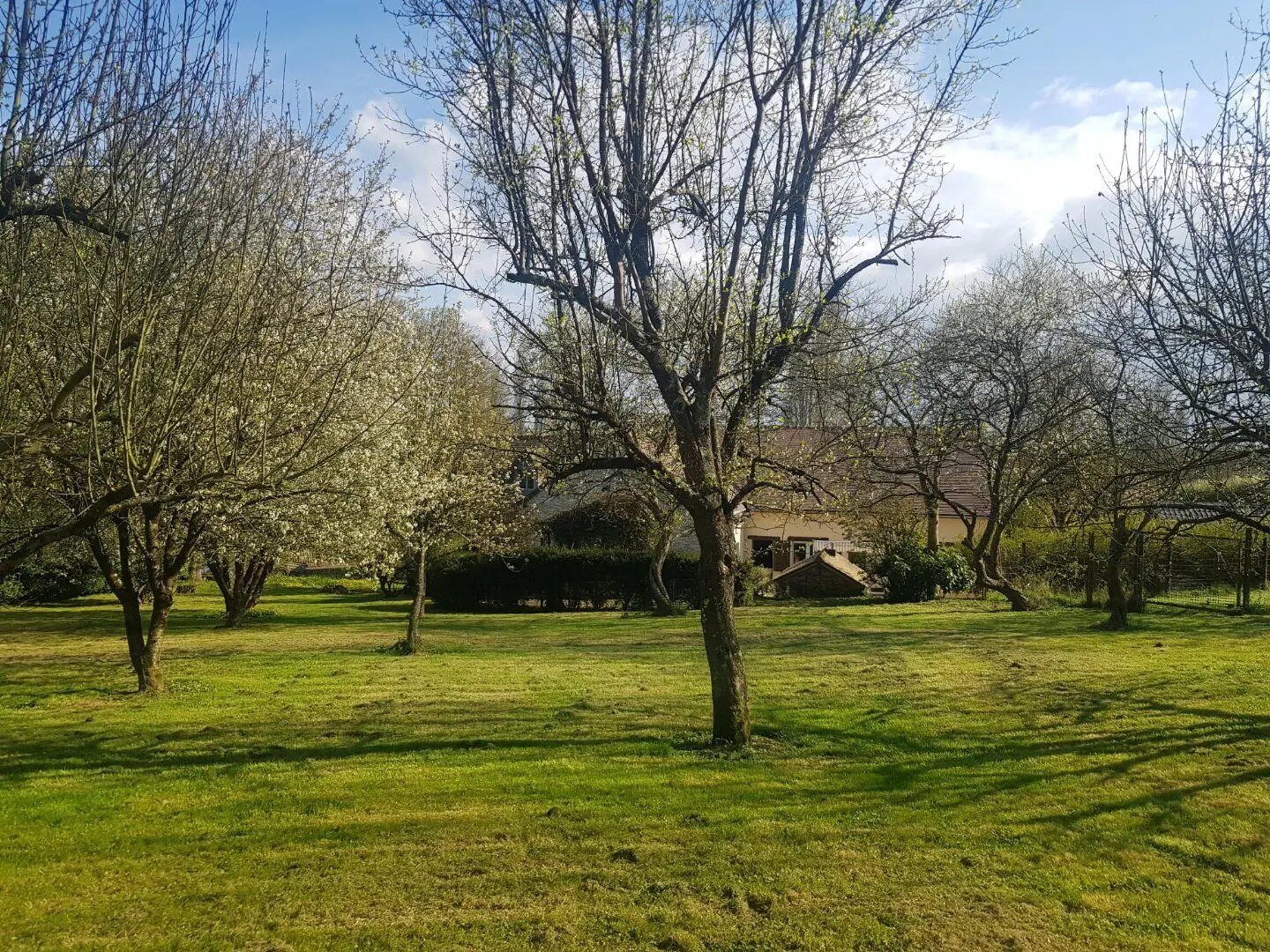 Maison à vendre, 305m², Coulans-sur-Gée