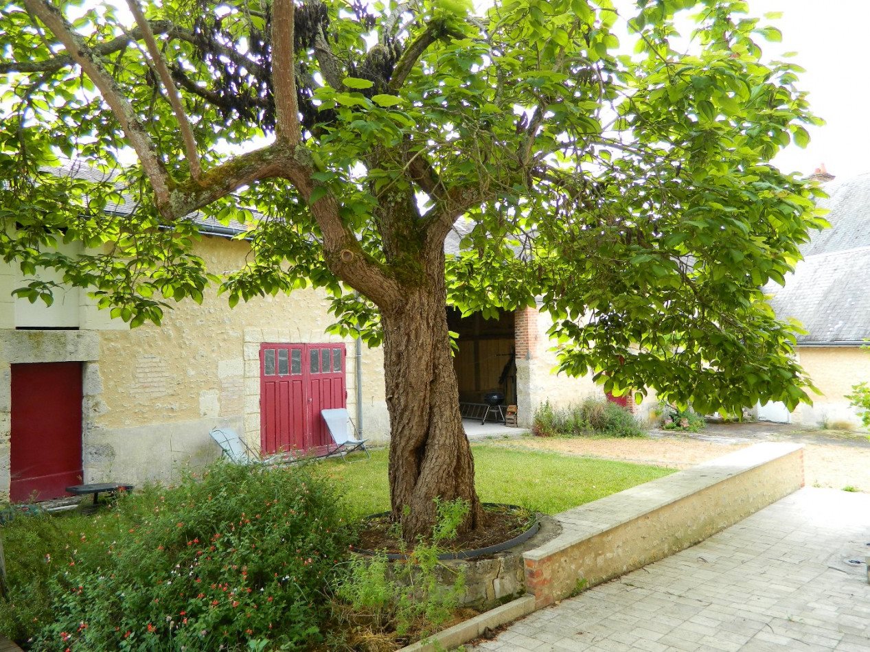 Maison à vendre, 207m², Cour-Cheverny