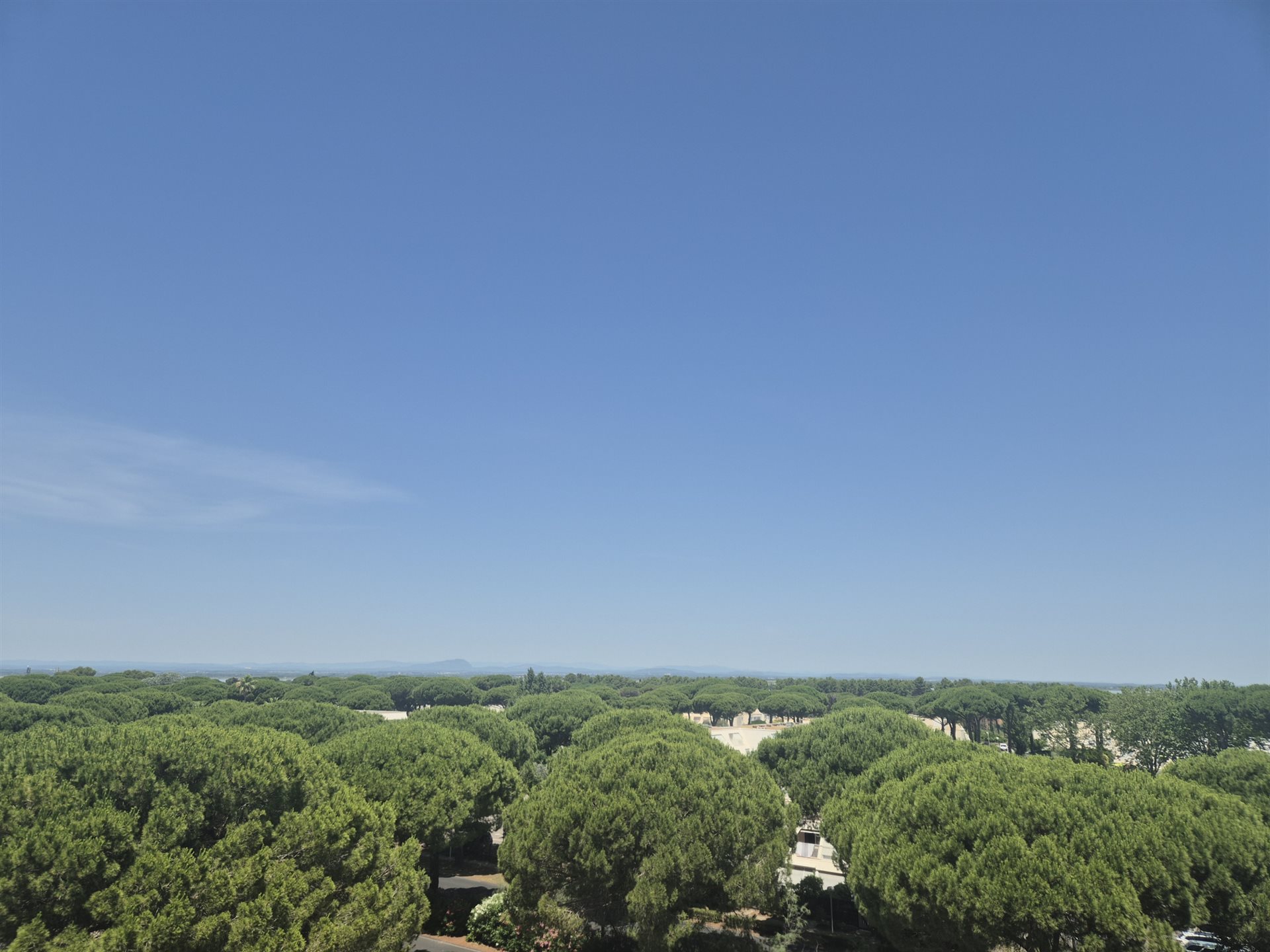 Appartement à vendre, 21m², La Grande-Motte