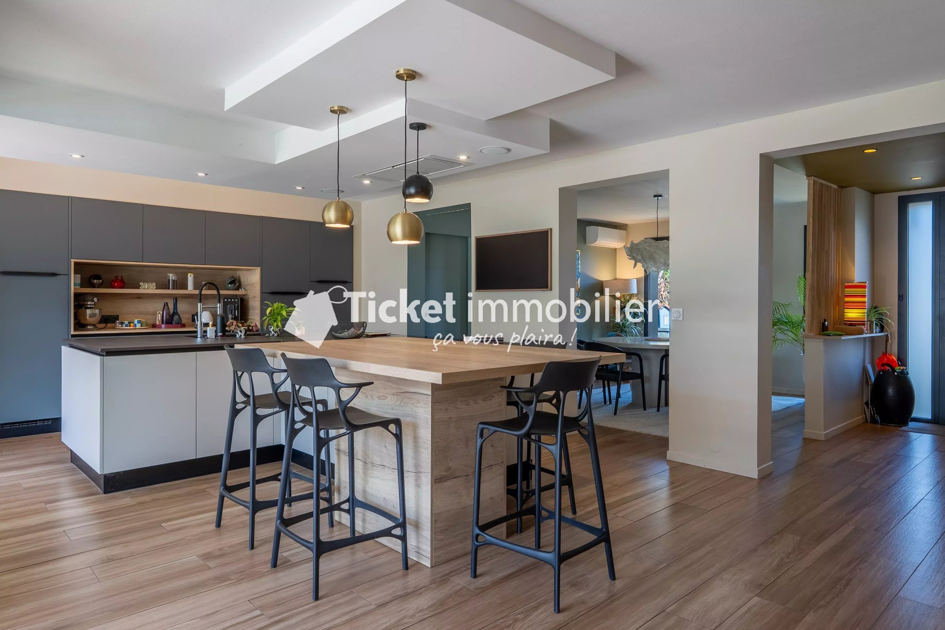 Maison à vendre, 304m², Cornebarrieu