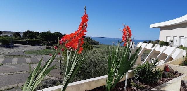 Appartement à vendre, 35m², La Rochelle