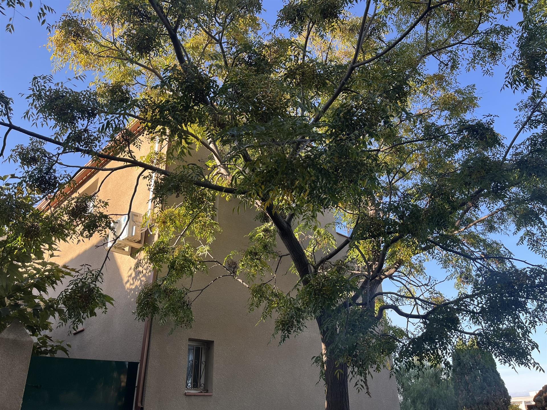 Maison à vendre, 77m², Saleilles