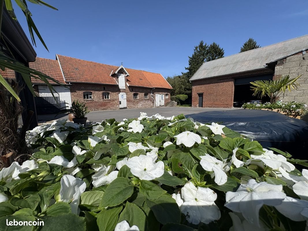 Maison à vendre, 203m², Avesnes-lès-Bapaume