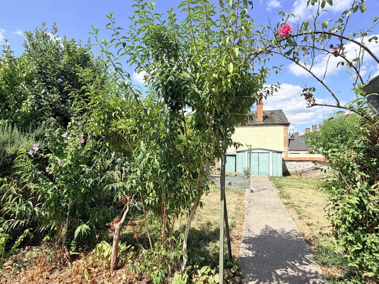 Maison à vendre, 1m², Argent-sur-Sauldre