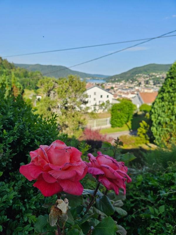 Maison à vendre, 151m², Gérardmer