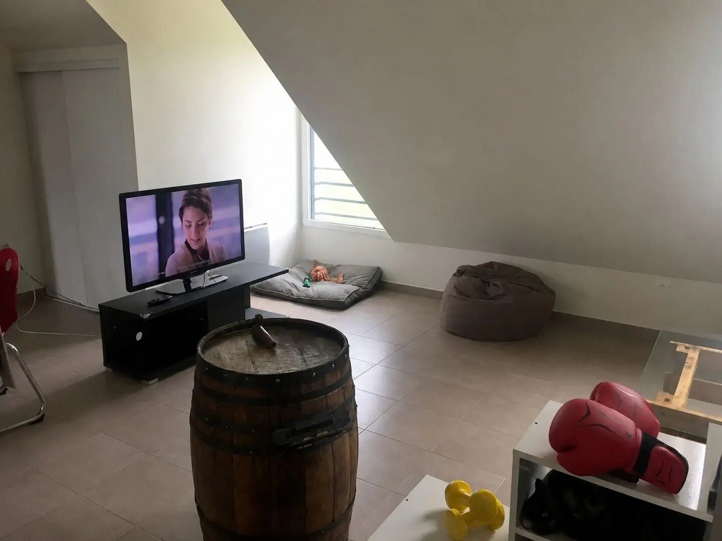 Appartement à louer, 28m², Amboise