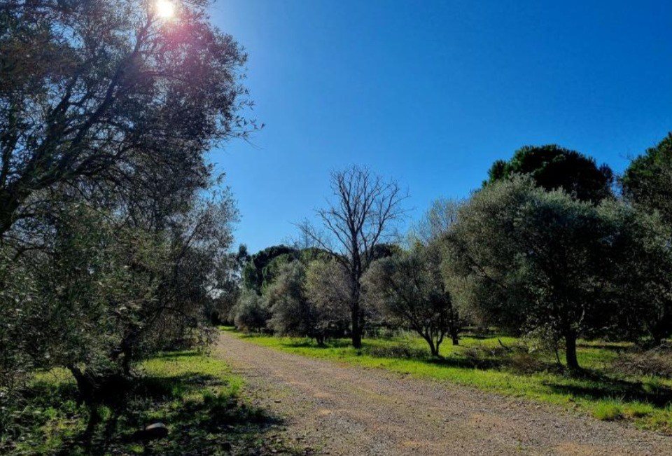 Maison à vendre, 92m², Ceyras