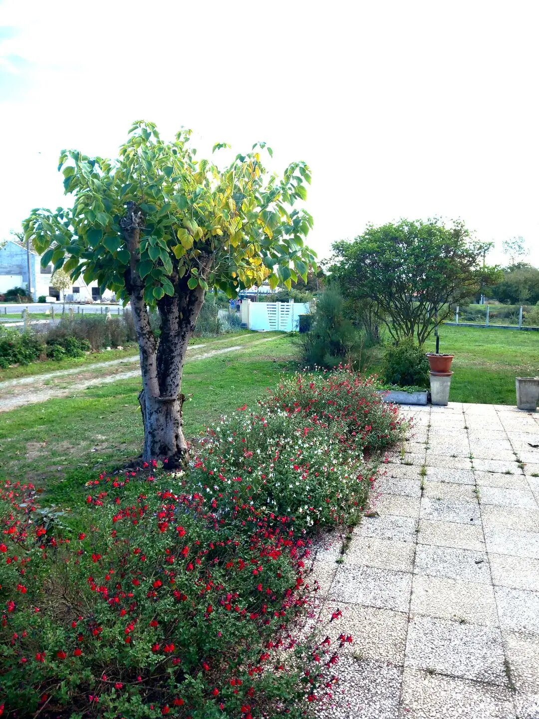 Maison à vendre, 102m², Coutras