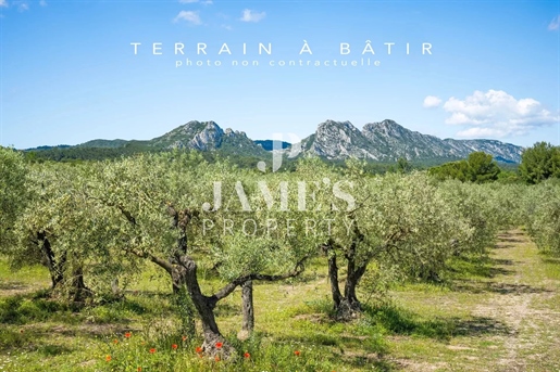 Terrain, terrain 1200 m² — Saint-Rémy-de-Provence (Bouches-du-Rhône) · 580 000 €