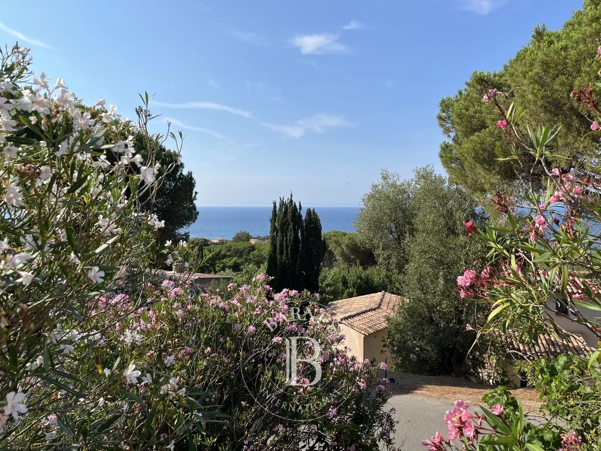 Maison à vendre, 156m², Corbara