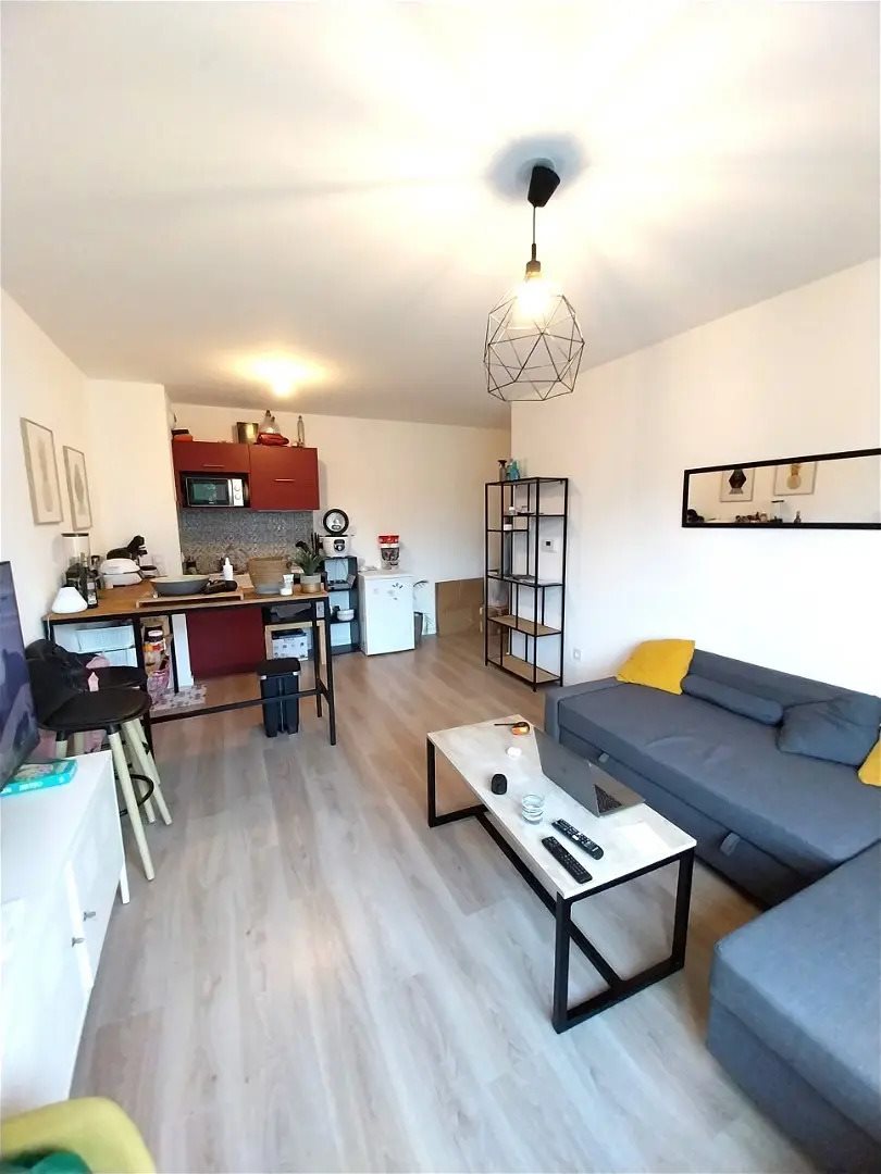 Appartement à louer, 45m², Les Sorinières