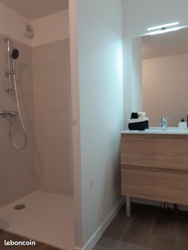 Appartement à louer, 42m², Port-Saint-Père