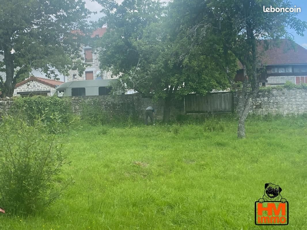 Maison à vendre, 300m², Sauviat-sur-Vige