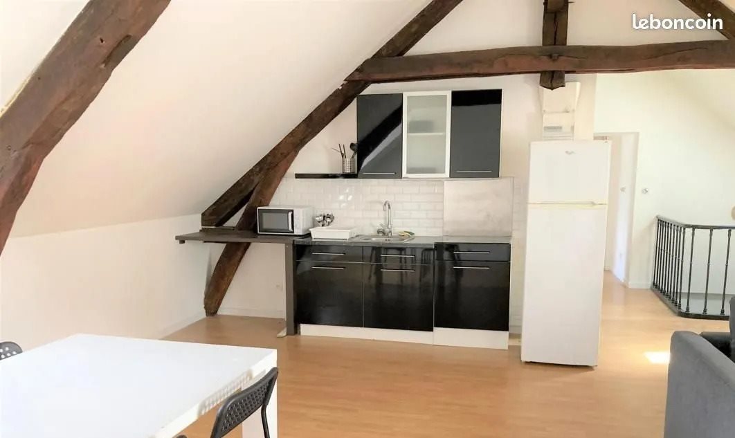 Appartement à louer, 50m², Orléans