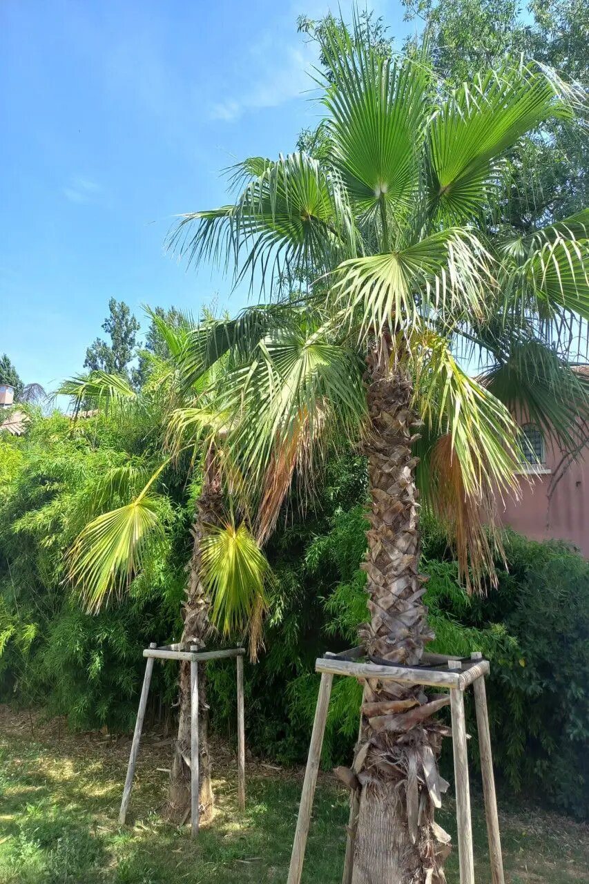 Appartement à vendre, 60m², Montpellier