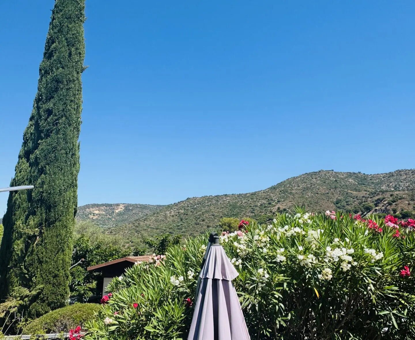 Maison à vendre, 50m², Bormes-les-Mimosas