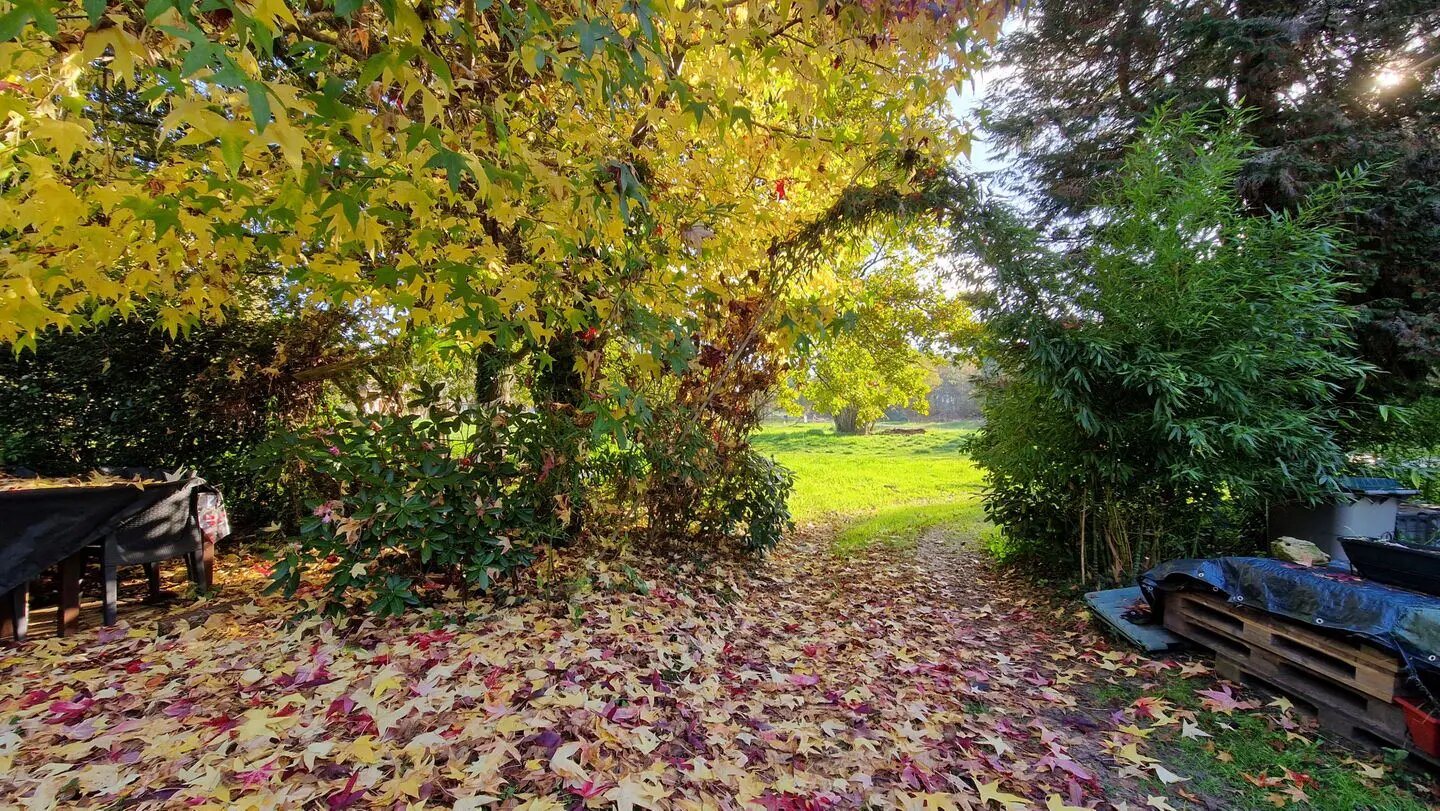 Maison à vendre, 122m², Bazas