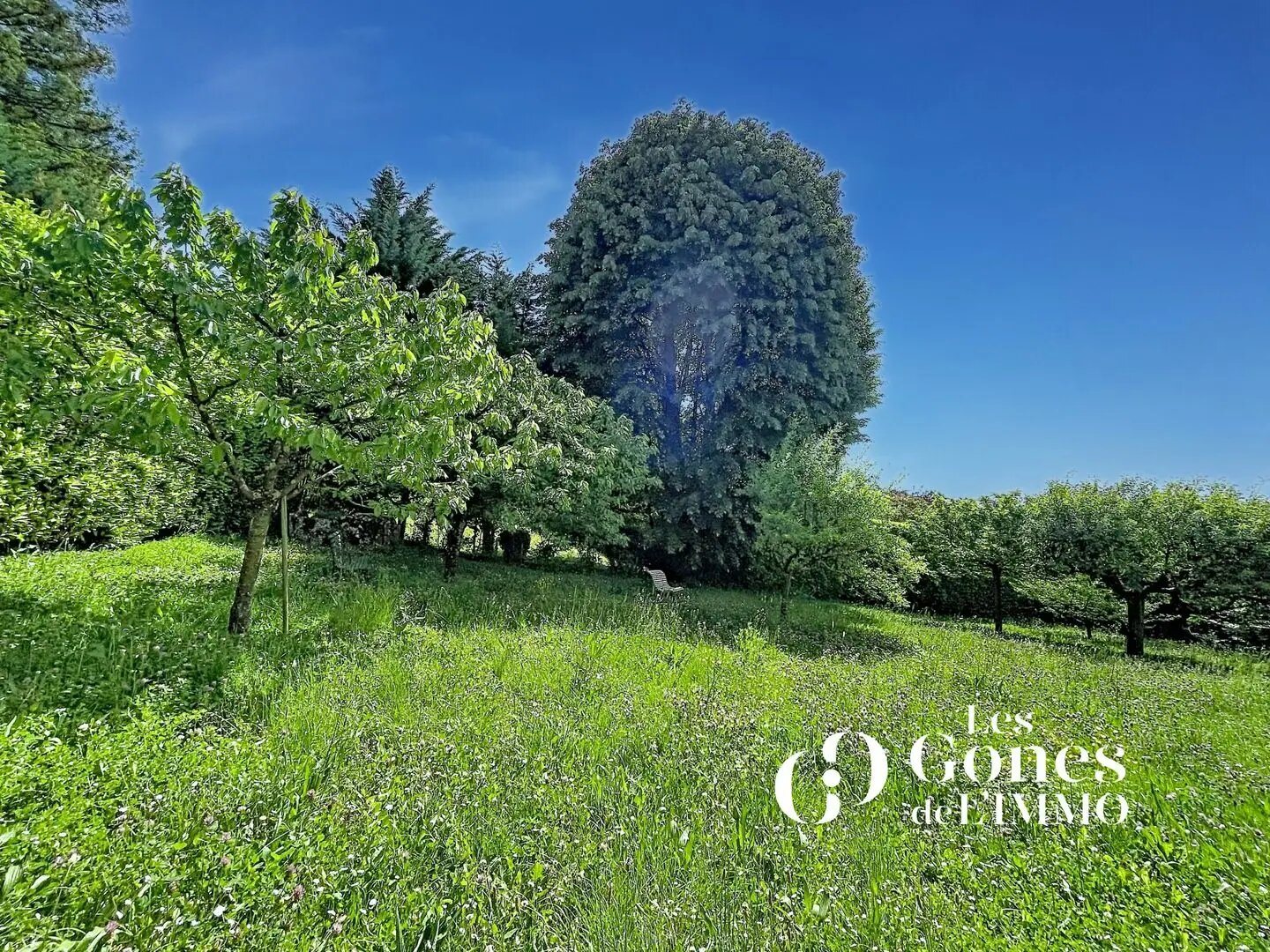Maison à vendre, 229m², Saint-Cyr-au-Mont-d'Or