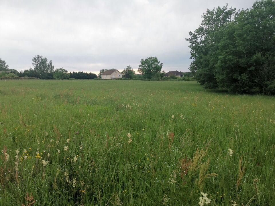Maison à vendre, 119m², Beauregard-de-Terrasson