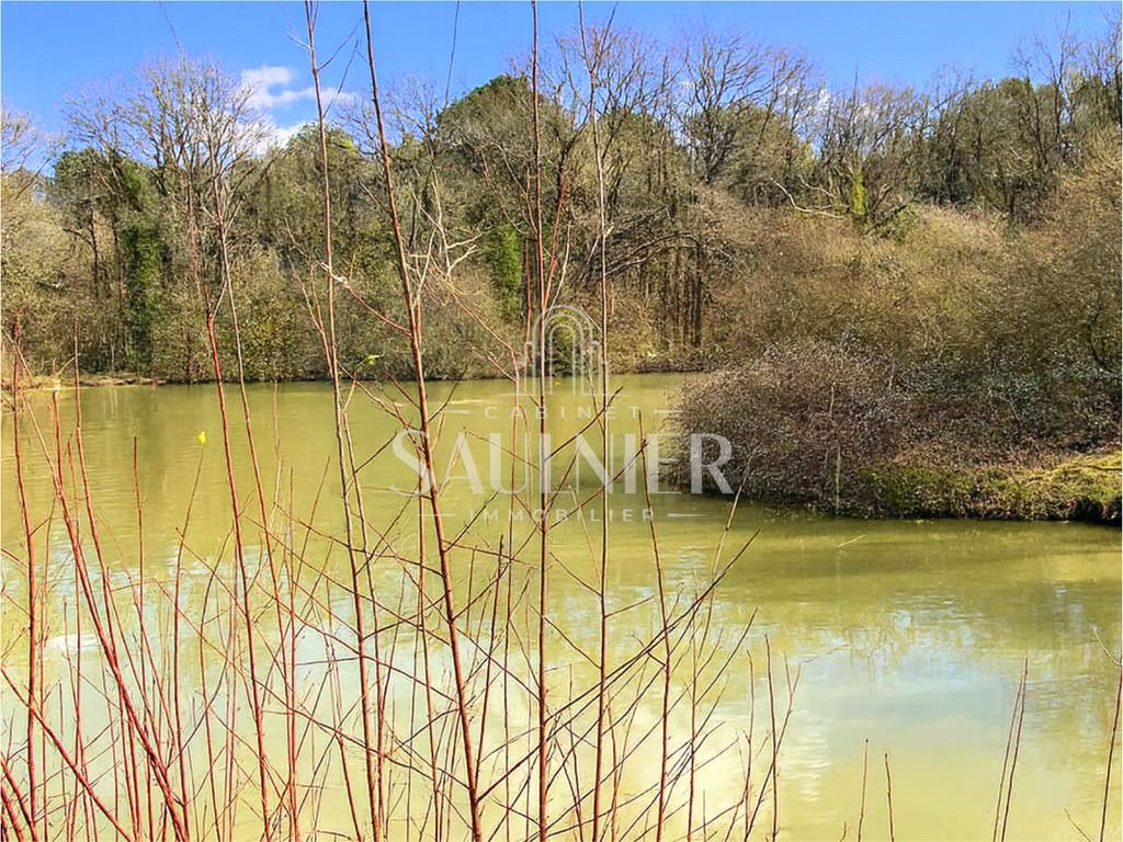 Maison à vendre, 340m², Azay-sur-Cher