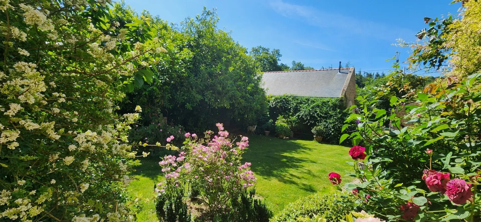 Maison à vendre, 198m², Clohars-Carnoët