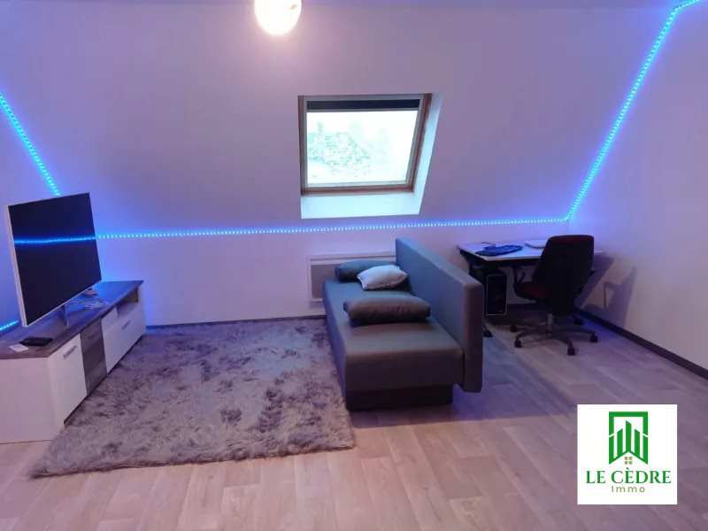 Appartement à louer, 44m², Hésingue