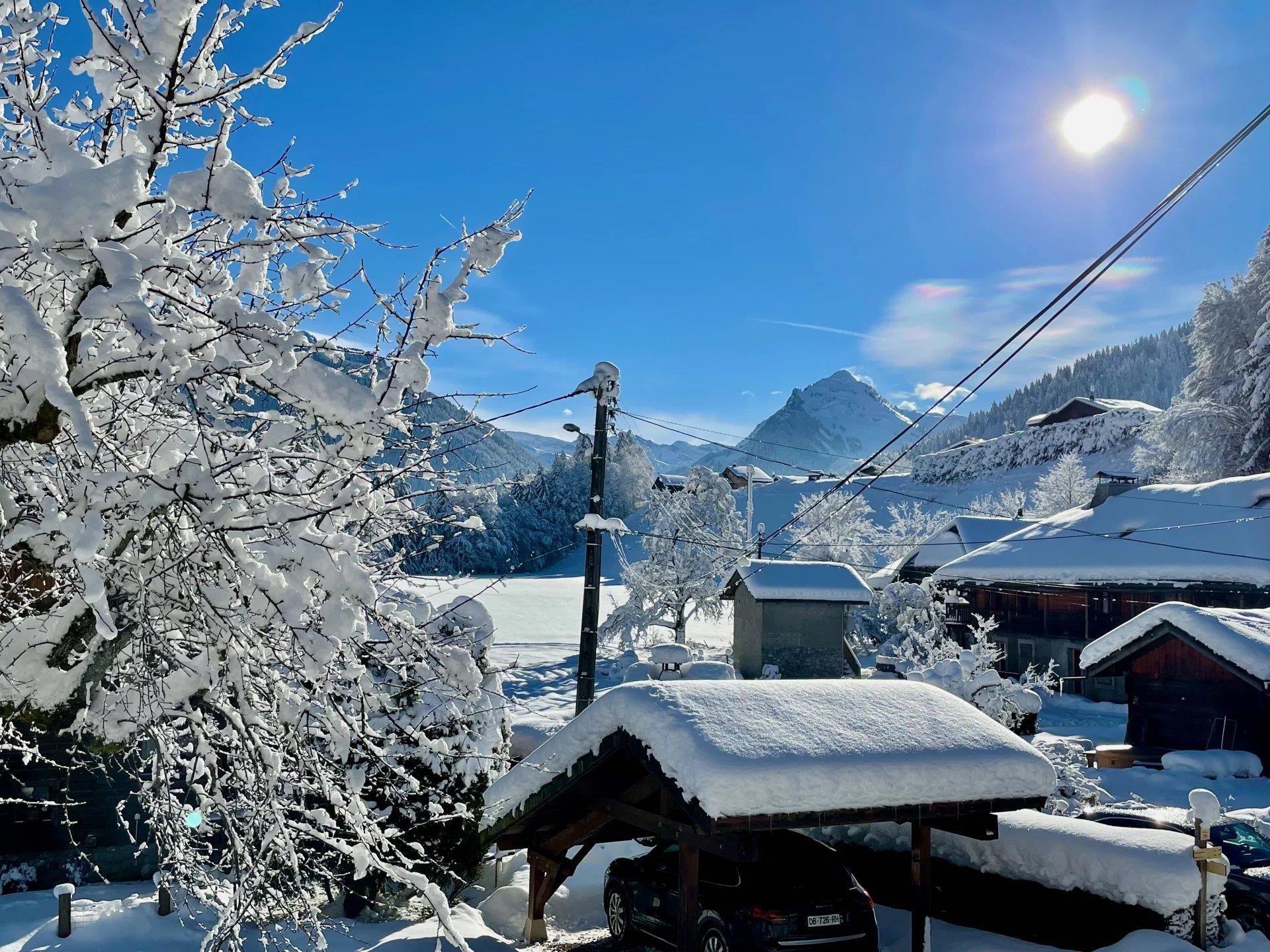 Appartement à vendre, 79m², Montriond