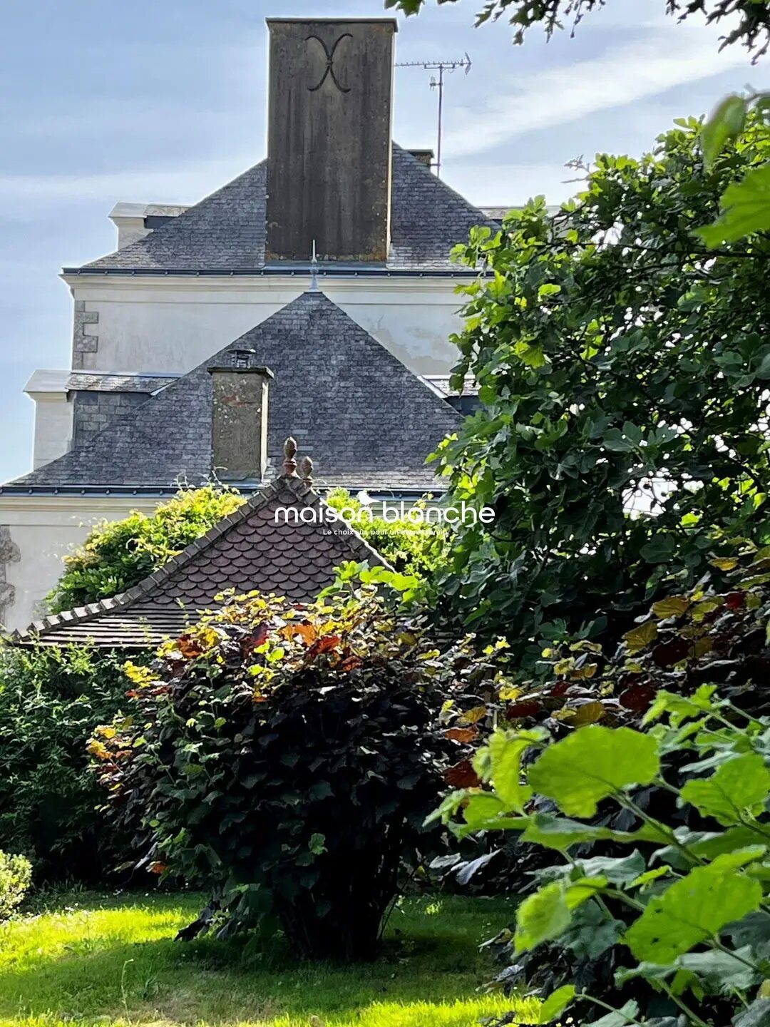 Maison à vendre, 370m², Saint-Denis-la-Chevasse