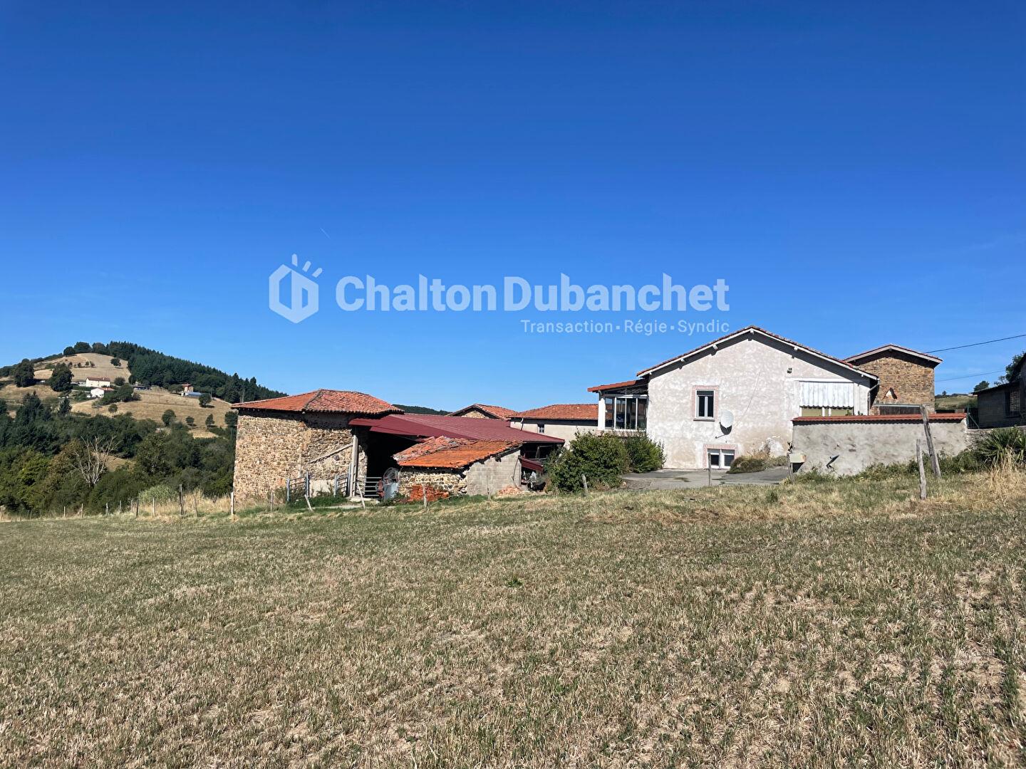 Maison à vendre, 171m², Sainte-Colombe-sur-Gand