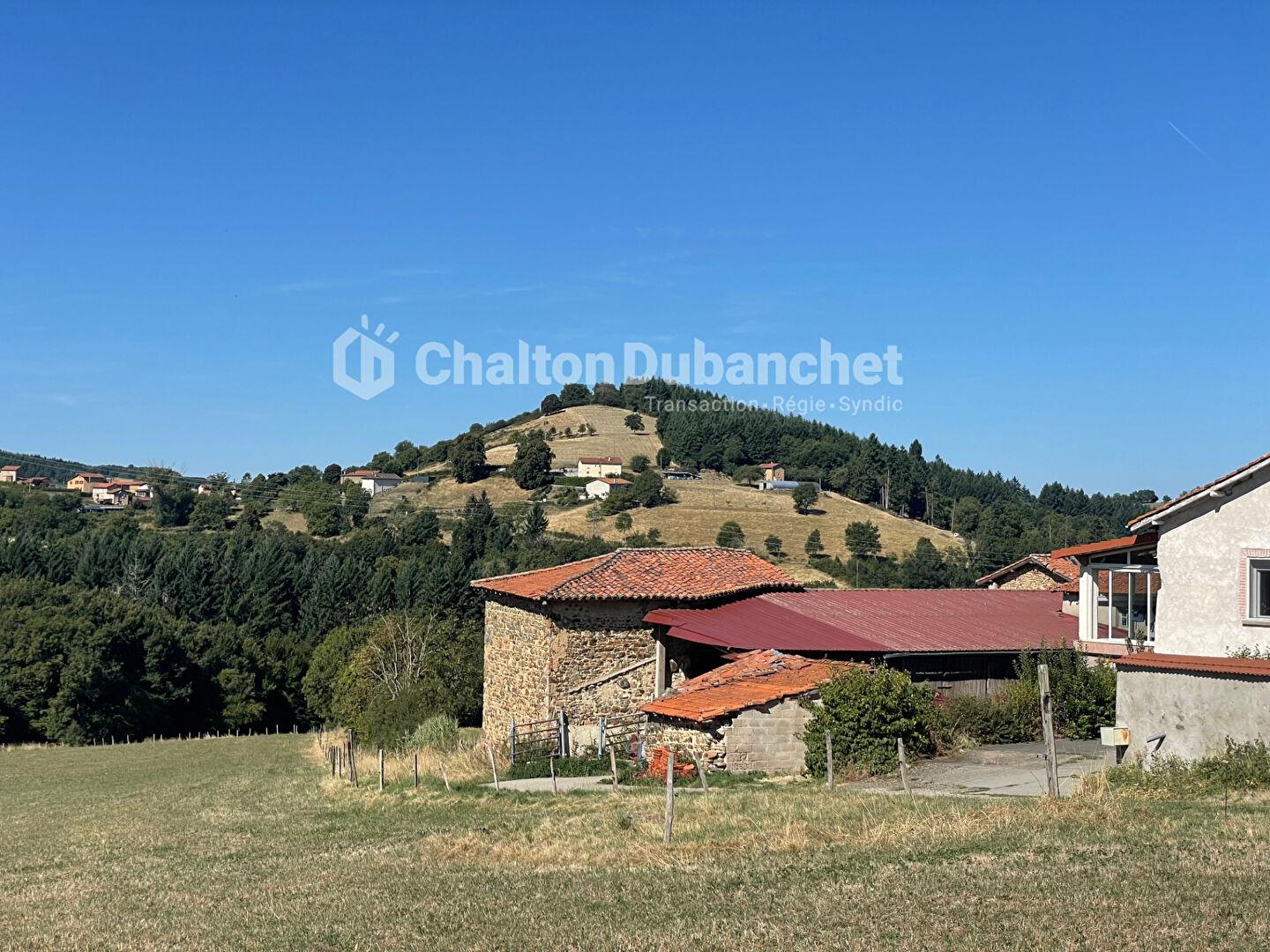 Maison à vendre, 171m², Sainte-Colombe-sur-Gand