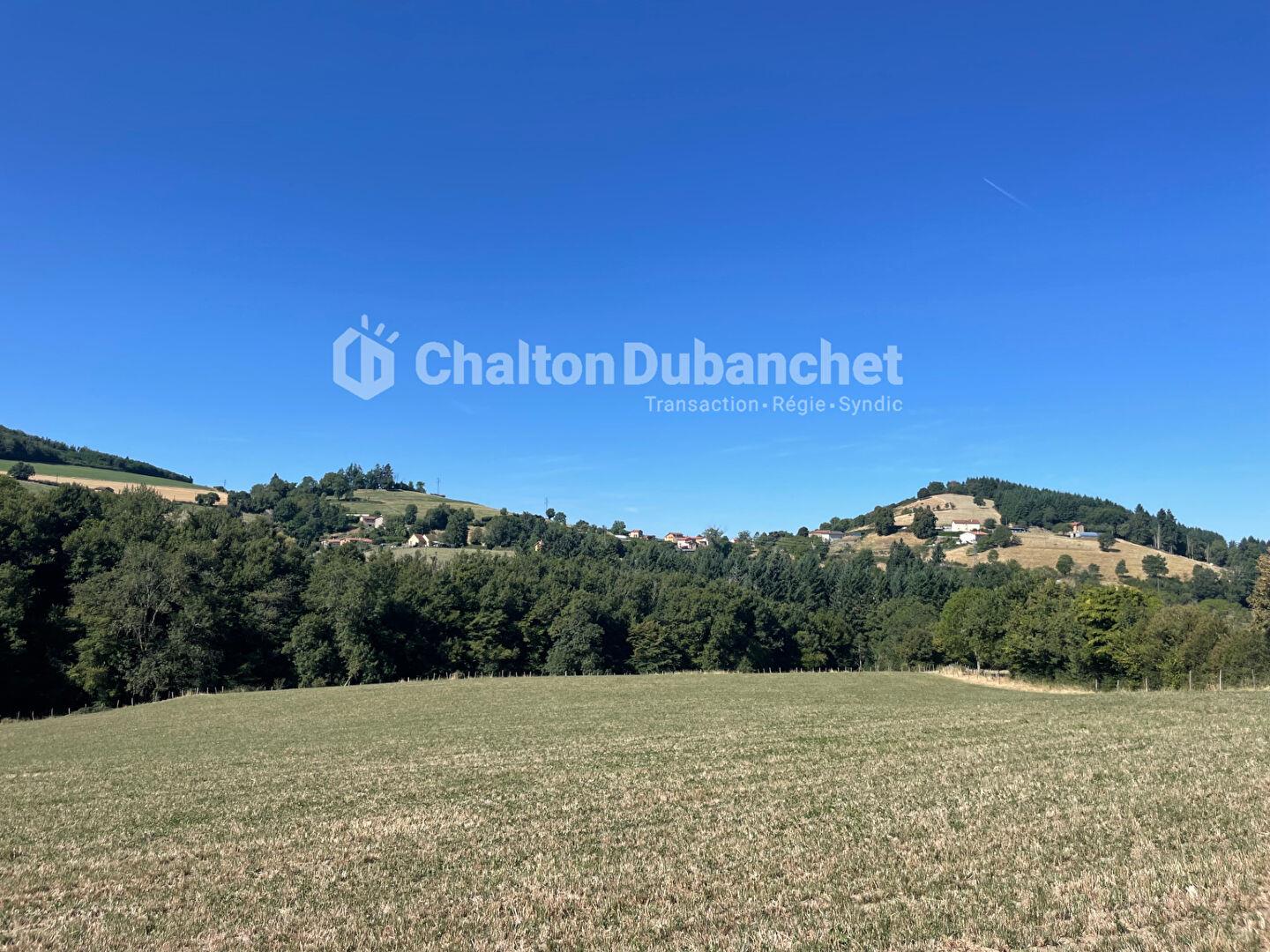 Maison à vendre, 171m², Sainte-Colombe-sur-Gand