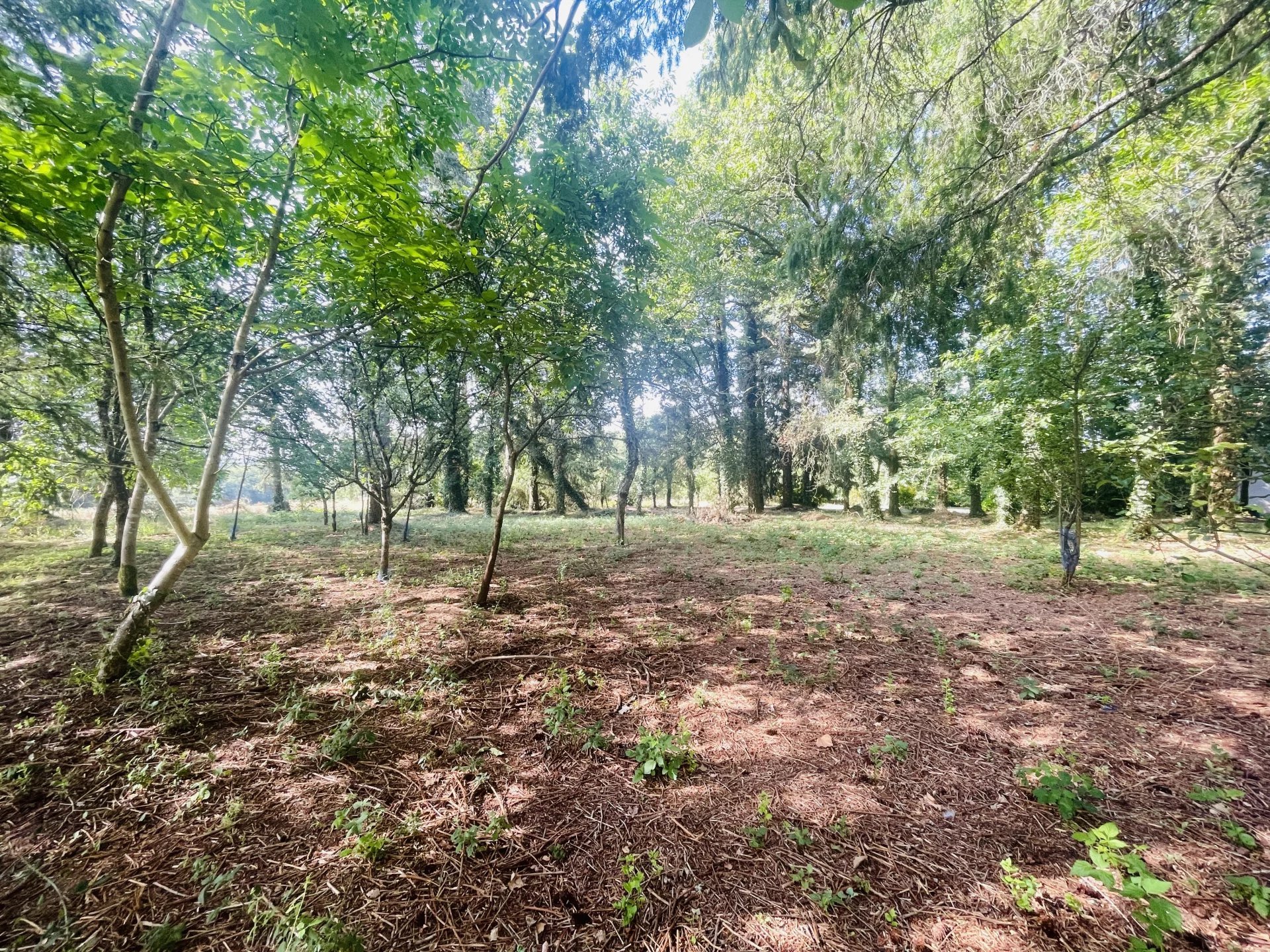 Maison à vendre, 152m², Chirac