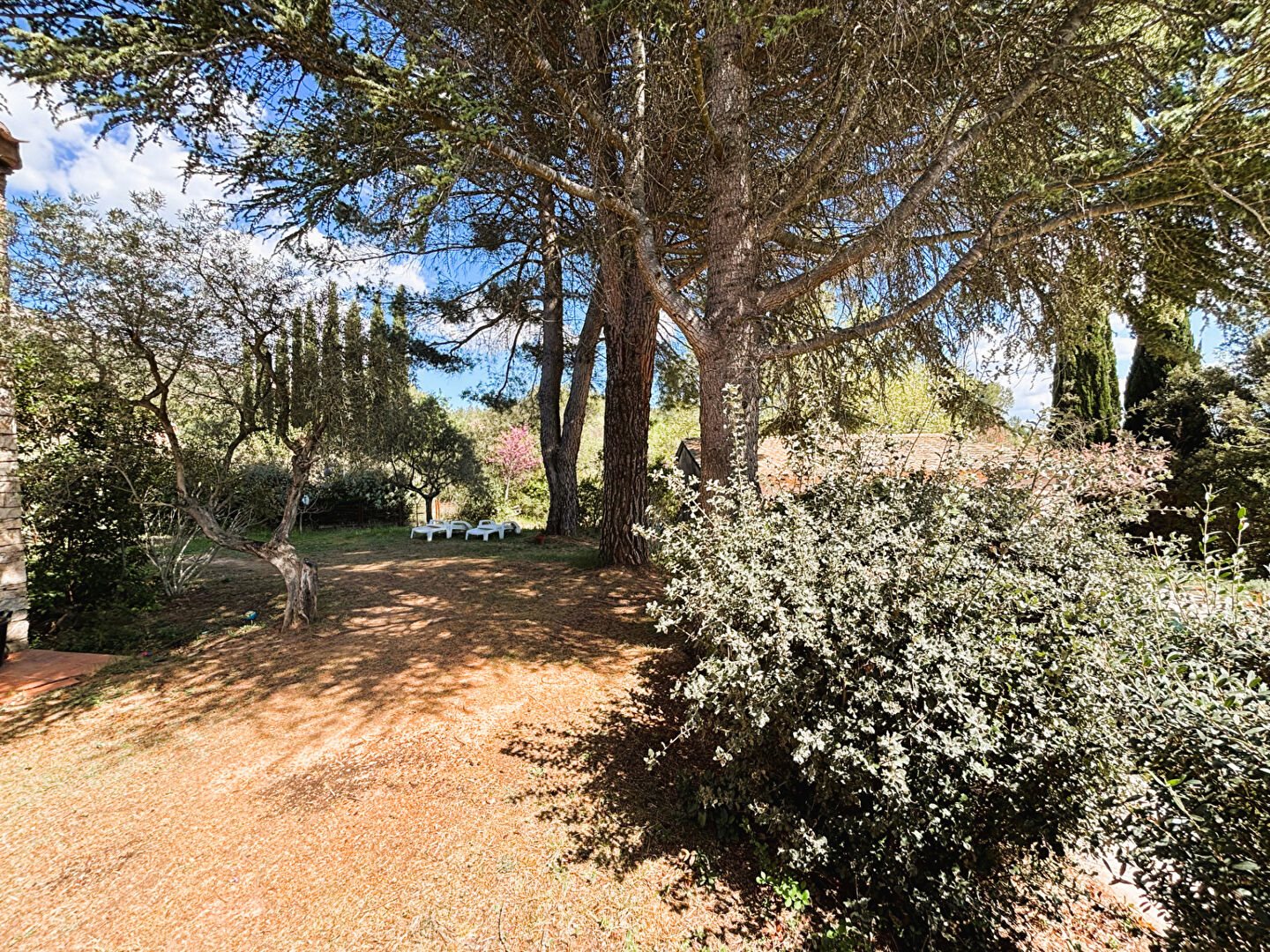 Maison à vendre, 270m², Châteauneuf-le-Rouge
