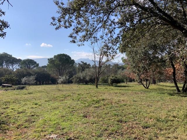 Maison à vendre, 220m², Brignoles