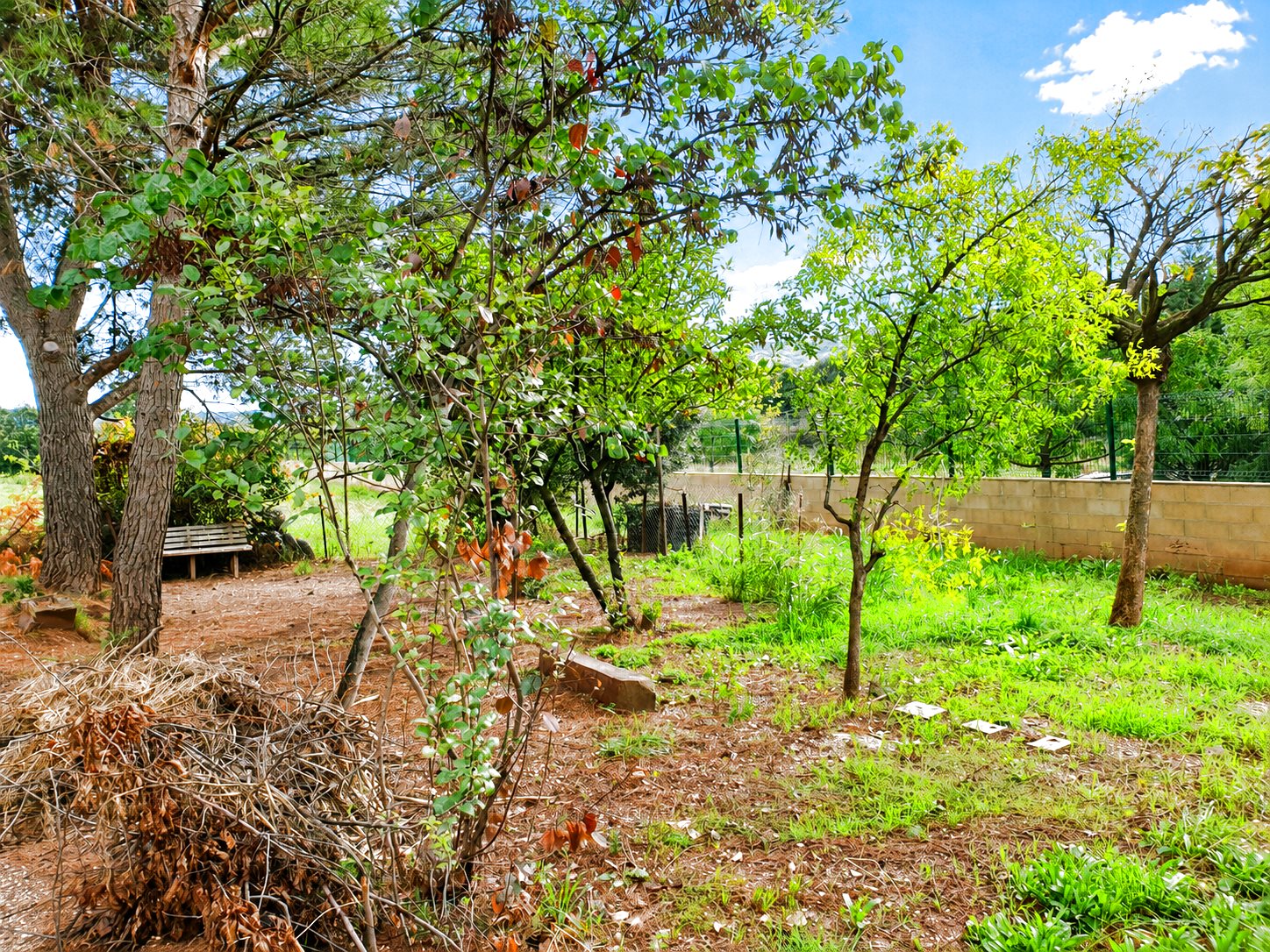 Maison à vendre, 130m², Le Bosc