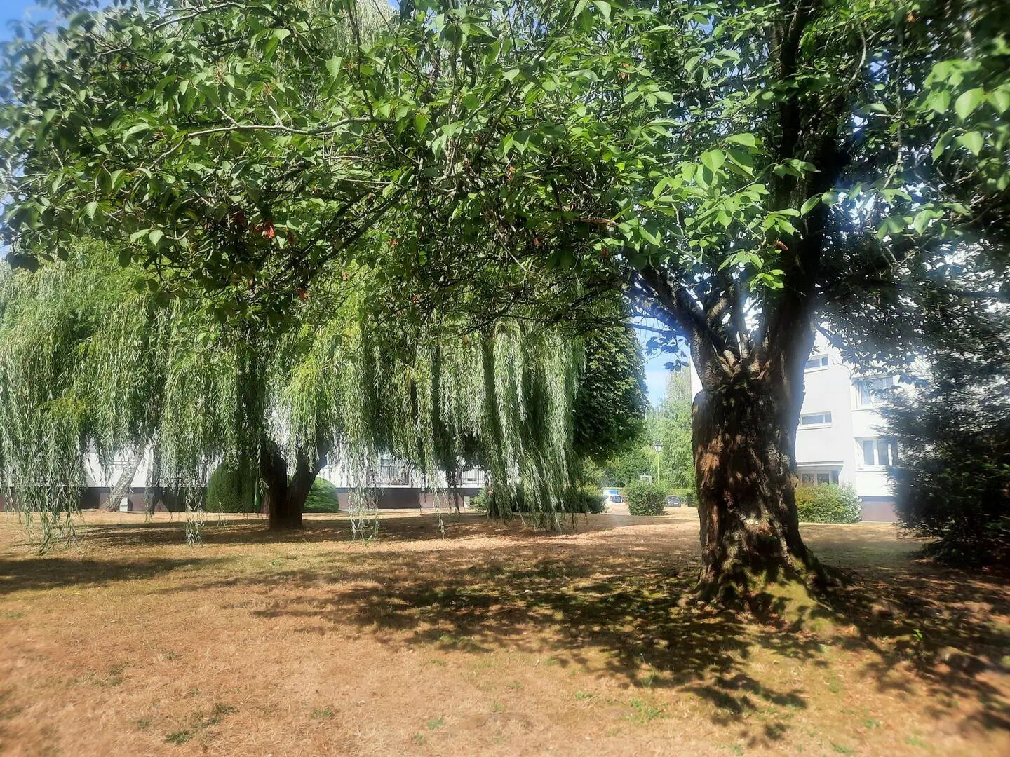 Appartement à louer, 57m², Bois-d'Arcy
