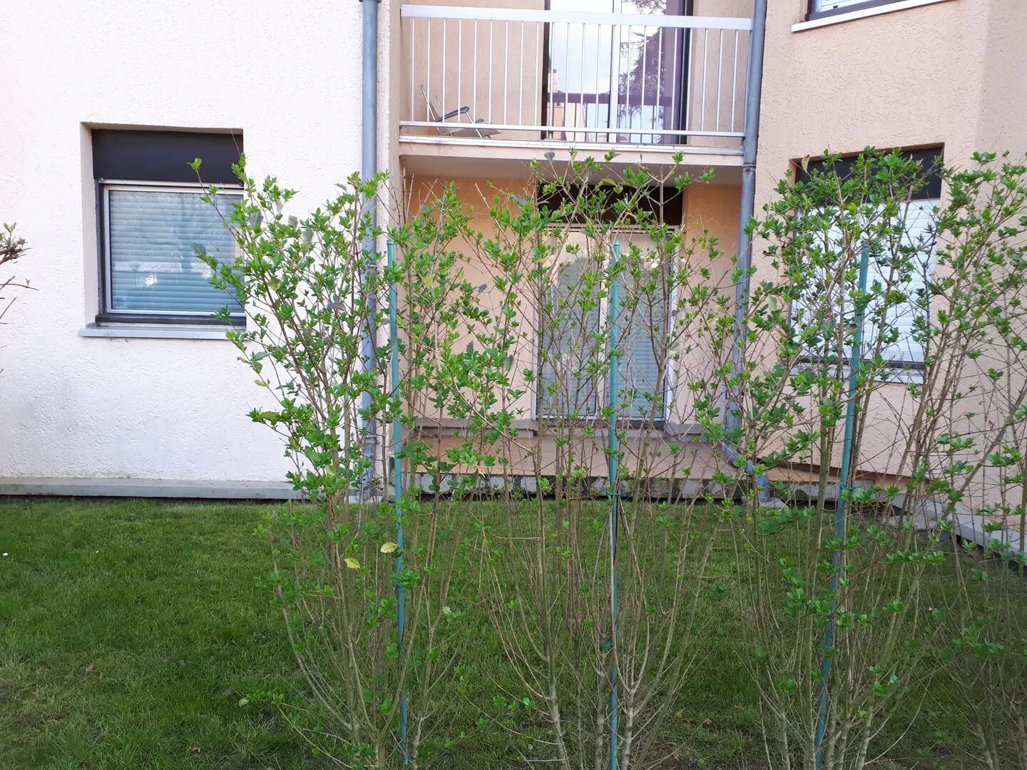 Appartement à louer, 25m², Villepreux