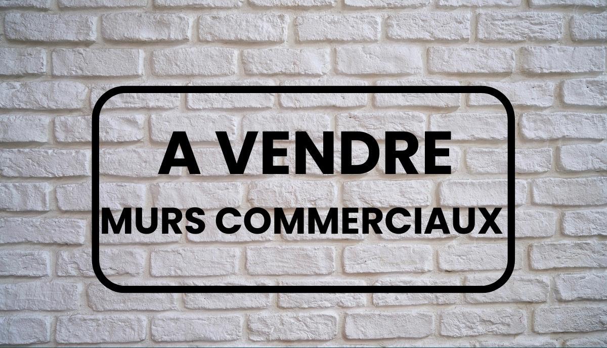 Maison à vendre, 350m², Entraigues-sur-la-Sorgue