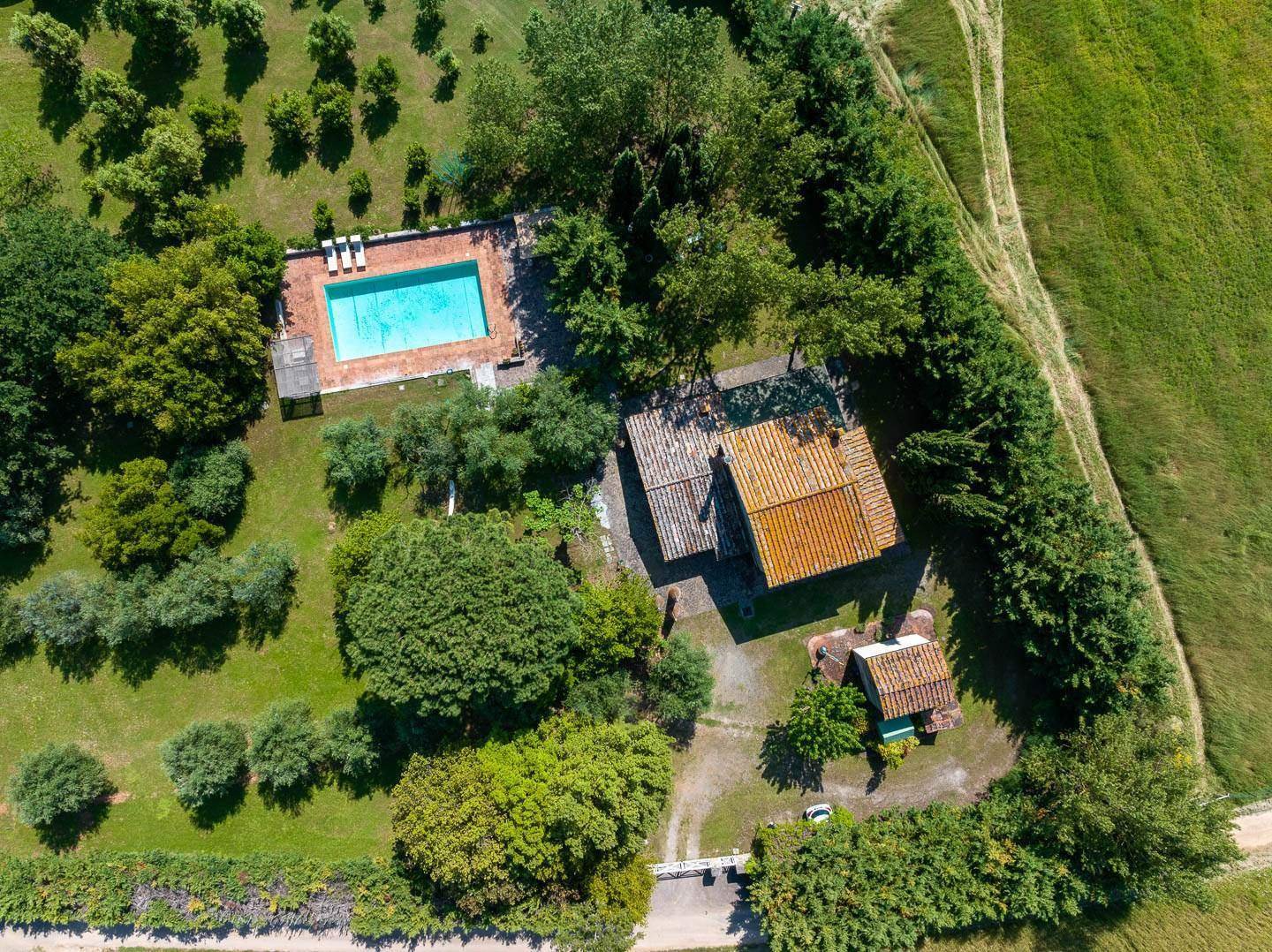 Colle di Val d'Elsa (Siena) photo 2