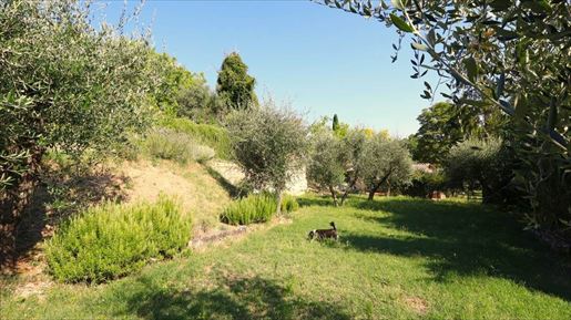 Sarteano (Siena) photo 3